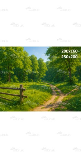 Tło fotograficzne Las 3611